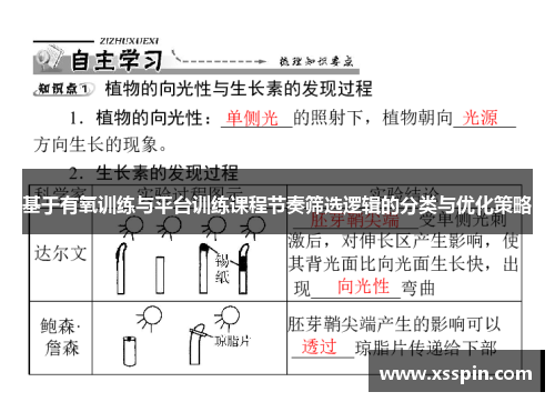 基于有氧训练与平台训练课程节奏筛选逻辑的分类与优化策略