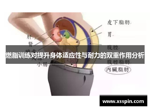 燃脂训练对提升身体适应性与耐力的双重作用分析